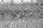 fence8500152_1280.jpg